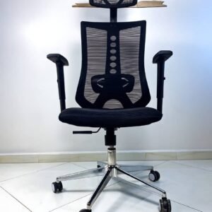 Chaise Ergonomique Valence