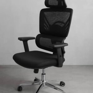 Chaise Ergonomique Extra