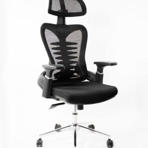 Chaise Ergonomique B38